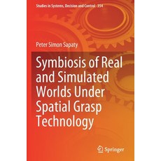 (英文圖書) Symbiosis of Real and Simulated Worlds Under Spatial Grasp Technology 平裝版, Springer, 英文