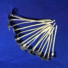 蠟材行 天然細棉燭芯 底座燭芯 棉心 燈芯 DIY蠟燭材料包, 16個