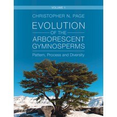 (英文圖書) Evolution of the Arborescent Gymnosperms: Volume 1 Northern Hemisphere Focus:... 精裝版, Cambridge University Press, 英文