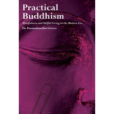 (英文圖書) Practical Buddhism 平裝版, Aeon Books, 英文
