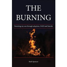(英文圖書) The Burning: Parenting my son through Adoption FASD and suicide 平裝版, A.F.S.Books, 英文