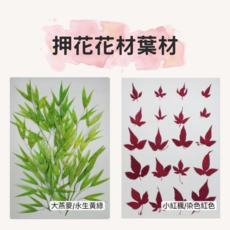 押花花材葉材 DIY手工藝材料包, 黃綠色
