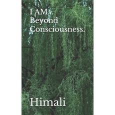 (英文圖書) I AM... Beyond Consciousness. 平裝版, Independently Published, 英文