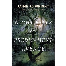 (英文圖書) Night Falls on Predicament Avenue 精裝版, Bethany House Publishers, 英文
