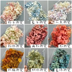 W&T花藝資材 台灣現貨開發票 夢幻繡球 乾燥花 10克/盒 安娜繡球 小葉繡球 DIY花材 花藝 永生花 花束, 淺粉白漸變