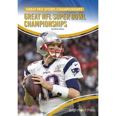 (英文圖書) Great NFL Super Bowl Championships 精裝版, Brightpoint Press, 英文