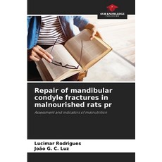 (英文圖書) Repair of mandibular condyle fractures in malnourished rats pr 平裝版, Our Knowledge Publishing, 英文