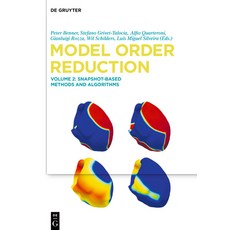 Snapshot-Based Methods and Algorithms 精裝版, de Gruyter, 英文