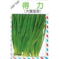 種子王國 得力大葉韭菜 韭菜種子 興農種苗 易栽培 家庭園藝