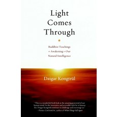 (英文圖書) Light Comes Through: Buddhist Teachings on Awakening to Our Natural Intelligence 平裝版, Shambhala, 英文