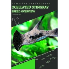 (英文圖書) Ocellated Stingray: From Novice to Expert. Comprehensive Aquarium Fish Guide 平裝版, Independently Published, 英文