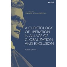 A Christology of Liberation in an Age of Globalization and Exclusion 精裝版, T&T Clark, 英文