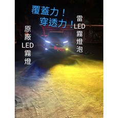 小鳥的店 2023 CR-V CRV 6代 六代 霧燈 雷Right LED燈泡 霧燈 MIT 黃金光 白光 crv6, 黃金光3000K