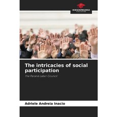 (英文圖書) The intricacies of social participation 平裝版, Our Knowledge Publishing, 英文