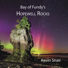 (英文圖書) Bay of Fundy's Hopewell Rocks 平裝版, Goose Lane Editions, 英文