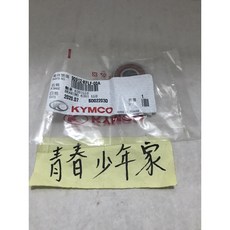 光陽 原廠 前輪軸承培林 適用於 豪邁 奔騰 三冠王 V2 G3 G4 G5 雷霆 6201, 詳見包裝