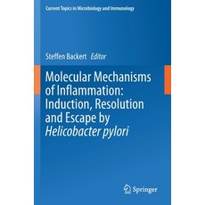 Molecular Mechanisms of Inflammation: Induction Resolution and Escape by Helicobacter Pylori 平裝版, Springer, 英文