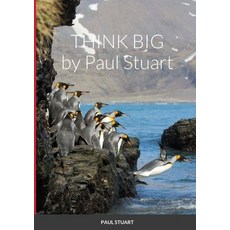 Think Big 平裝版, Lulu.com, 英文