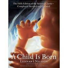 (英文圖書) A Child Is Born: The Fifth Edition of the Beloved Classic--Completely Revised and Updated 平裝版, Bantam, 英文