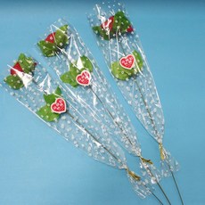 康乃馨花束, 紅色, 一小束入