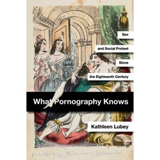 (英文圖書) What Pornography Knows: Sex and Social Protest Since the Eighteenth Century 平裝版, Stanford University Press, 英文