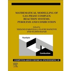 Mathematical Modelling of Gas-Phase Complex Reaction Systems: Pyrolysis and Combustion Volume 45 精裝版, Elsevier, 英文