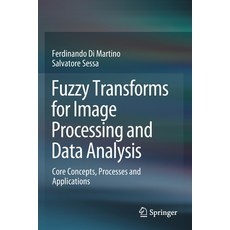 Fuzzy Transforms for Image Processing and Data Analysis: Core Concepts Processes and Applications 平裝版, Springer, 英文