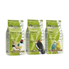 【偉特】熱帶鳥鸚鵡飼料全系列，多種口味選擇，天然食材，增強免疫力