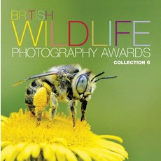 (英文圖書) British Wildlife Photography Awards: Collection 6 精裝版, AA Publishing, 英文