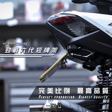 SKUNY 勁戰六代專用短牌架, 詳見包裝