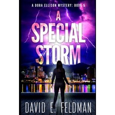 (英文圖書) A Special Storm: Crime fiction Novels 平裝版, Independently Published, 英文