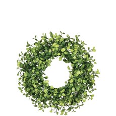 Sullivans 少女頭髮樂趣租賃, 綠