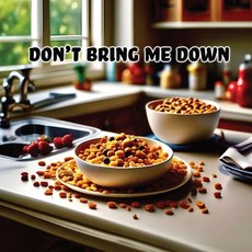 (英文圖書) Don't Bring Me Down 平裝版, Pickwick Studios, 英文
