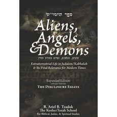 Aliens Angels & Demons: Extraterrestrial Life in Judaism/Kabbalah & its Vital Relevance for Modern... 平裝版, Independently Published, 英語