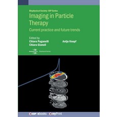 (英文圖書) Imaging in Particle Therapy: Current Practice and Future Trends 平裝版, IOP Publishing Ltd, 英文