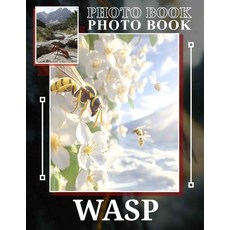 (英文圖書) Wasp Photo Book: Exploring Nature's Insect World: Stunning Close-Ups Of Wasps T... 平裝版, Independently Published, 英文