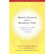 (英文圖書) Being Human and a Buddha Too: Longchenpa's Seven Trainings for a Sunlit Sky 平裝版, Wisdom Publications, 英文