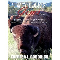 (英文圖書) Two Lane Gems Vol. 2: Bison are Giant and Other Observations from an American... 精裝版, Local Tourist, 英文