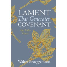 (英文圖書) Lament That Generates Covenant 平裝版, Cascade Books, 英文