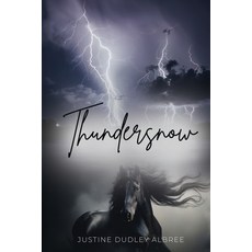 (英文圖書) Thundersnow 平裝版, Hmdpublishing, 英文