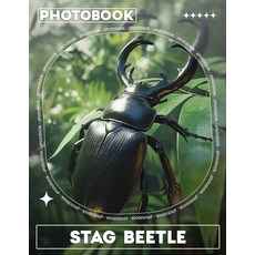 (英文圖書) Stag Beetle Photo Book: Explore 40 Stunning Images Of This Majestic Insect Per... 平裝版, Independently Published, 英文