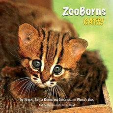(英文圖書) ZooBorns Cats!: The Newest Cutest Kittens and Cubs from the World's Zoos 平裝版, Simon & Schuster, 英文