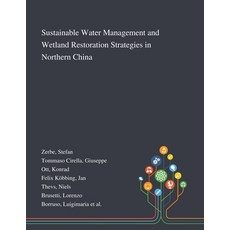 Sustainable Water Management and Wetland Restoration Strategies in Northern China 平裝版, Saint Philip Street Press, 英文