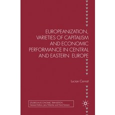 Europeanization Varieties of Capitalism and Economic Performance in Central and Eastern Europe 平裝版, Palgrave MacMillan, 英文