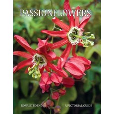 (英文圖書) Passionflowers: A Pictorial Guide 平裝版, Independently Published, 英文