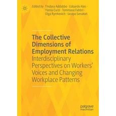 (英文圖書) The Collective Dimensions of Employment Relations: Interdisciplinary Perspectives on Workers'... 平裝版, Palgrave MacMillan, 英文