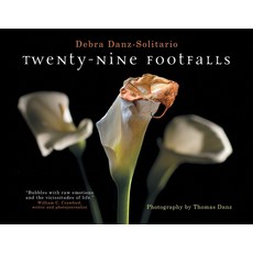 Twenty-Nine Footfalls 平裝版, Debra Danz Solitario, 英文