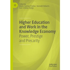 (英文圖書) Higher Education and Work in the Knowledge Economy: Power Prestige and Precarity 精裝版, Palgrave MacMillan, 英文