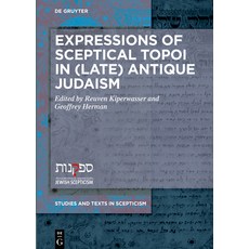 Expressions of Sceptical Topoi in (Late) Antique Judaism 精裝版, de Gruyter, 英文