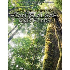 (英文圖書)A Visual Guide to Plants Algae and Fungi Library Binding, Rosen Young Adult, 英文, 圖書館裝訂